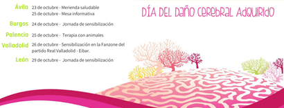 Cartel día Daño Cerebral 