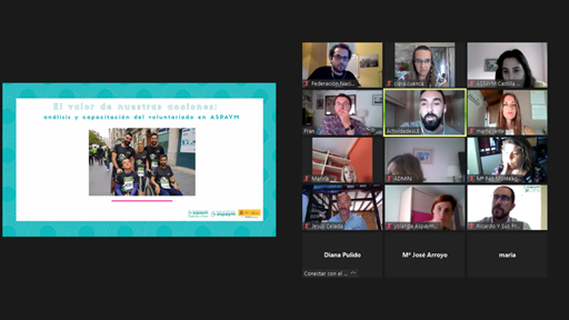 Captura de pantalla del encuentro virtual sobre el Plan de Voluntariado 
