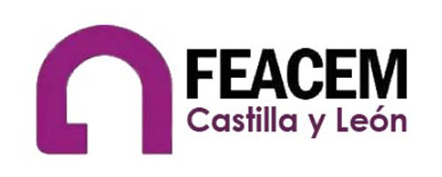 Logo Feacem