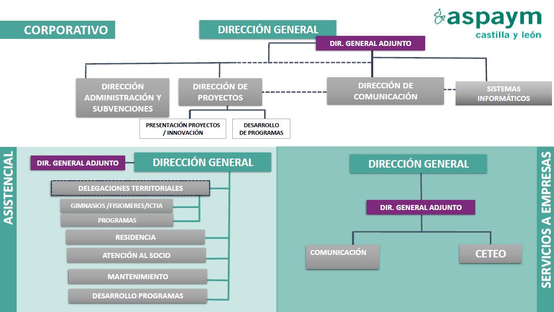 Organigram Corporativo, Dirección General, Asistencial y Servicios a Empresas