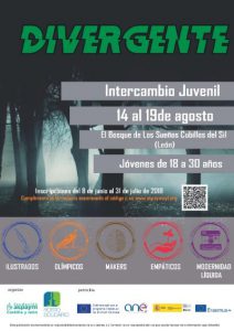 Cartel del intercambio juvenil DIVERGENTE